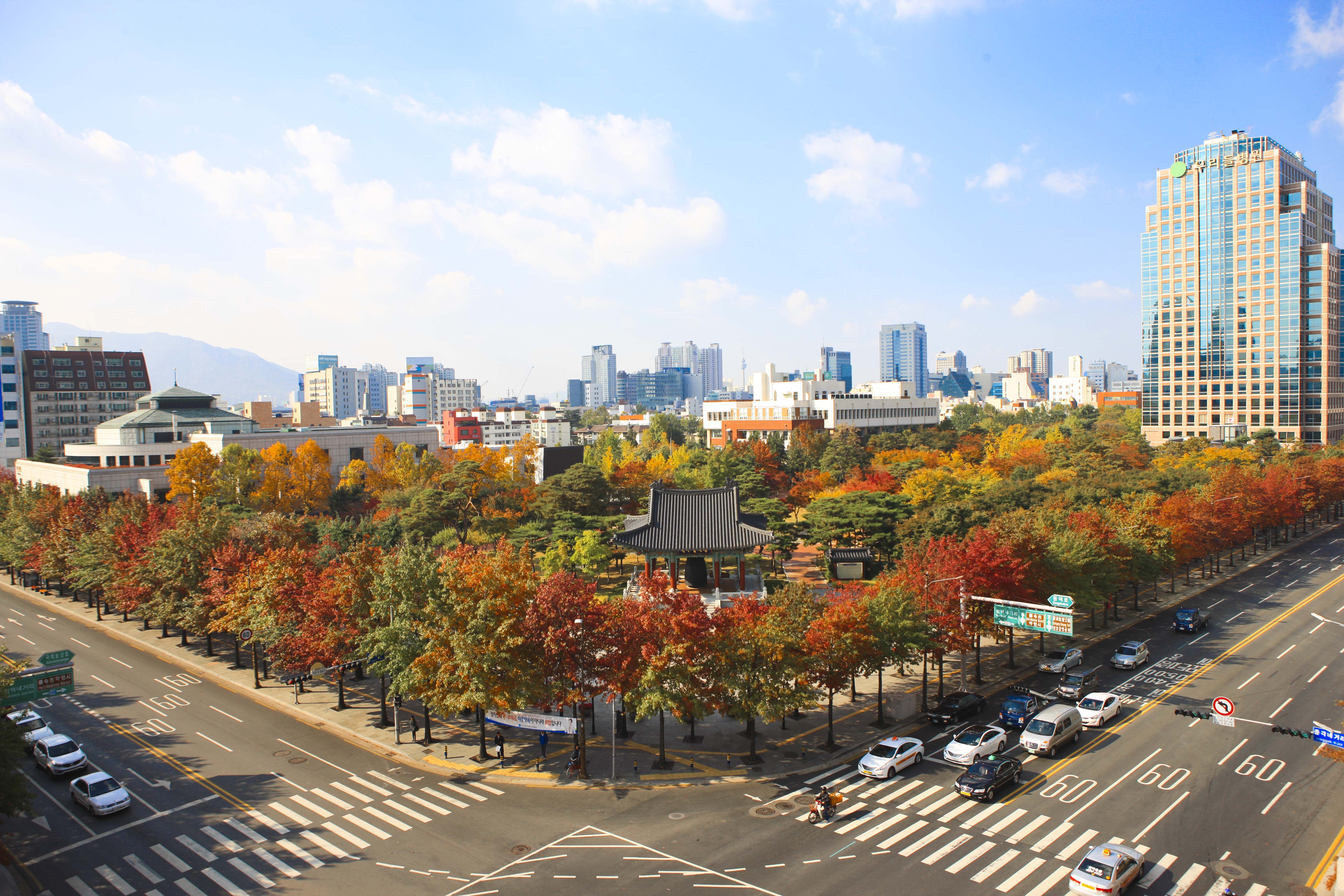 Autumn in Daegu!